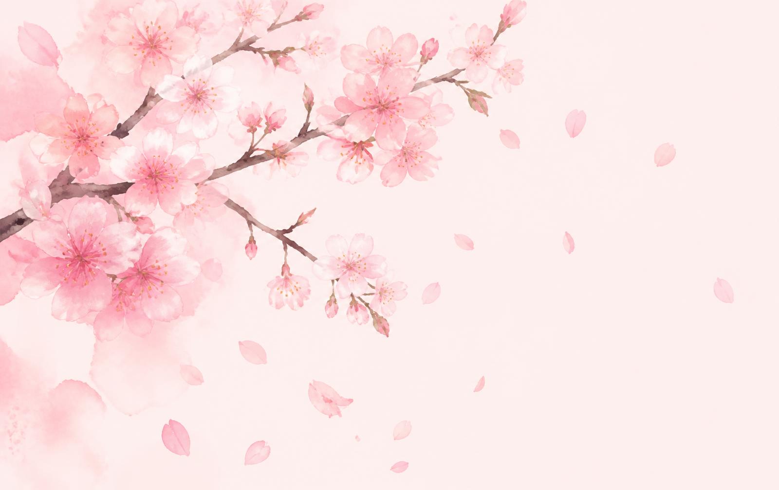 Watercolour cherry blossom branches with falling petals